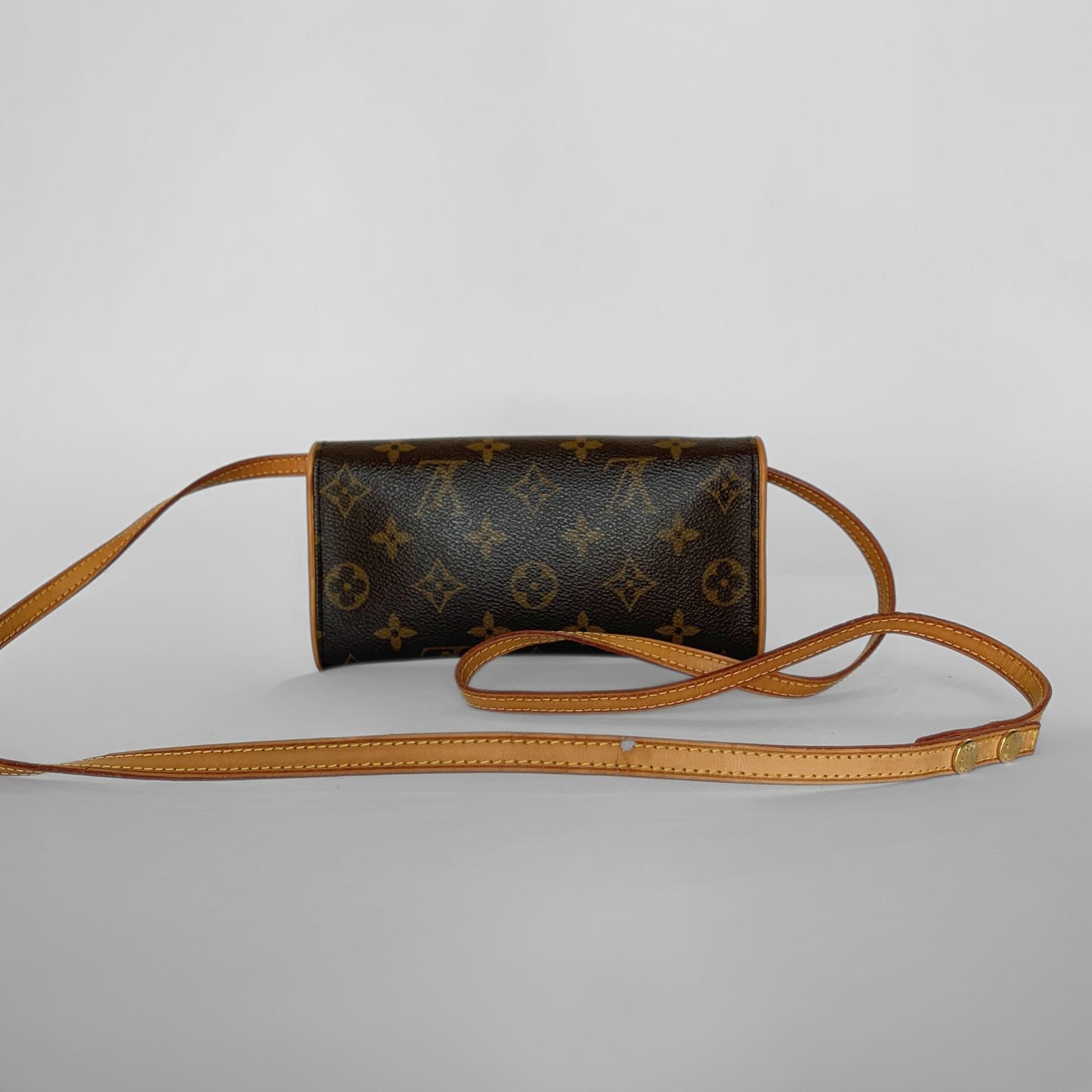 Louis Vuitton Pochette Twin PM Monogram Canvas