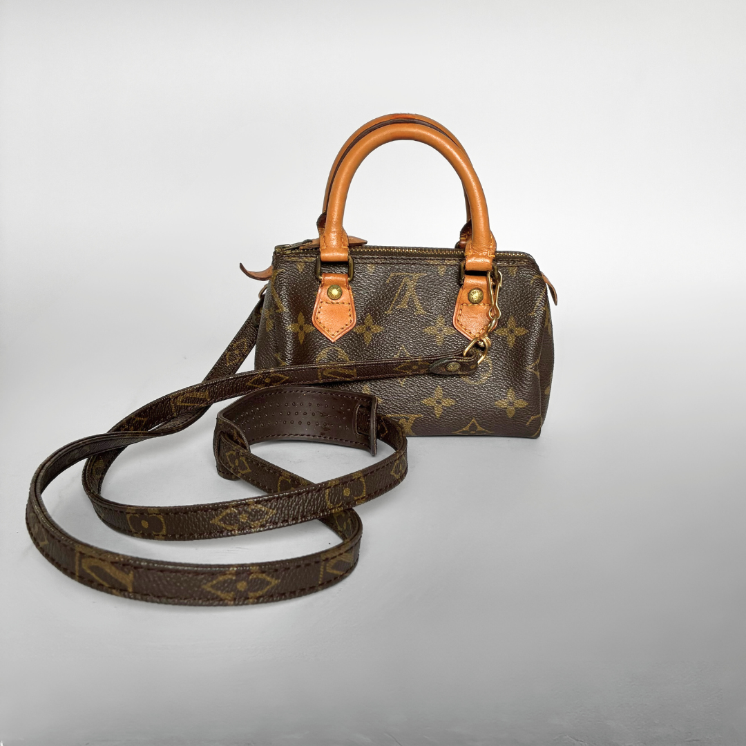 Louis Vuitton Speedy Mini Monogram Canvas