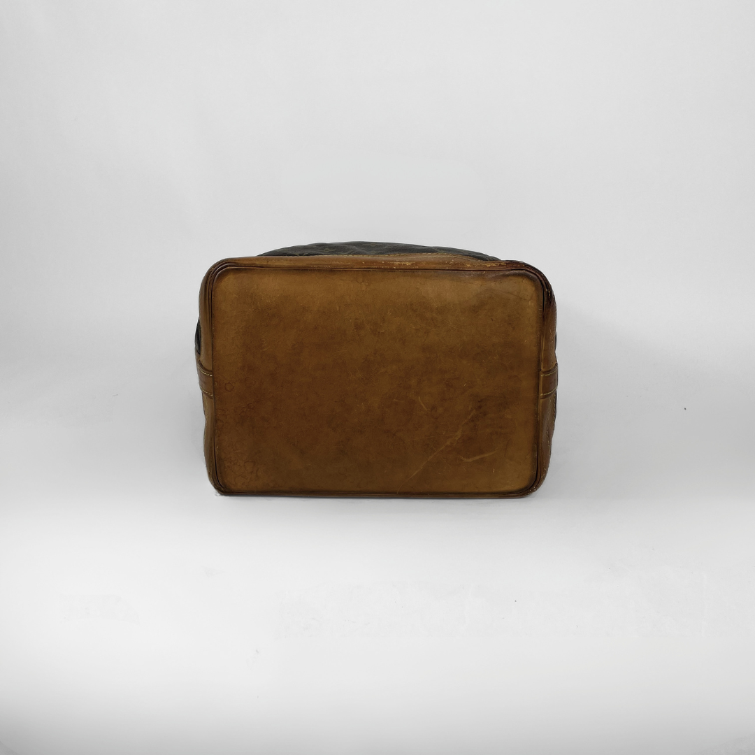 Louis Vuitton Noé Monogram Canvas on a white background