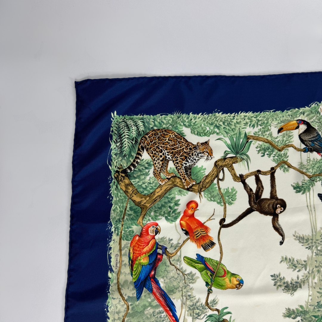 Hermes scarf on white background