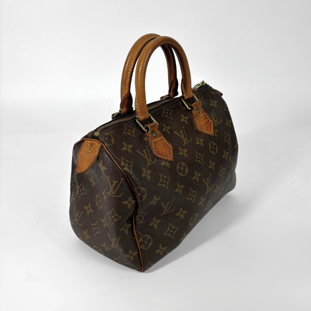Louis Vuitton Speedy 25 lateral view