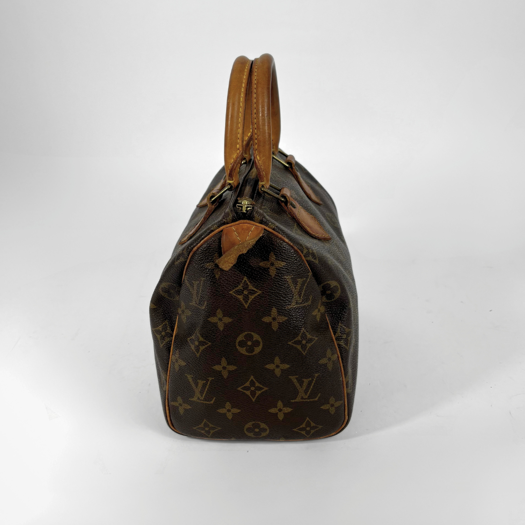 Louis Vuitton Speedy 25 side view