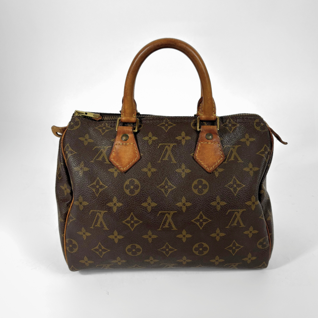 Louis Vuitton Speedy 25 back view