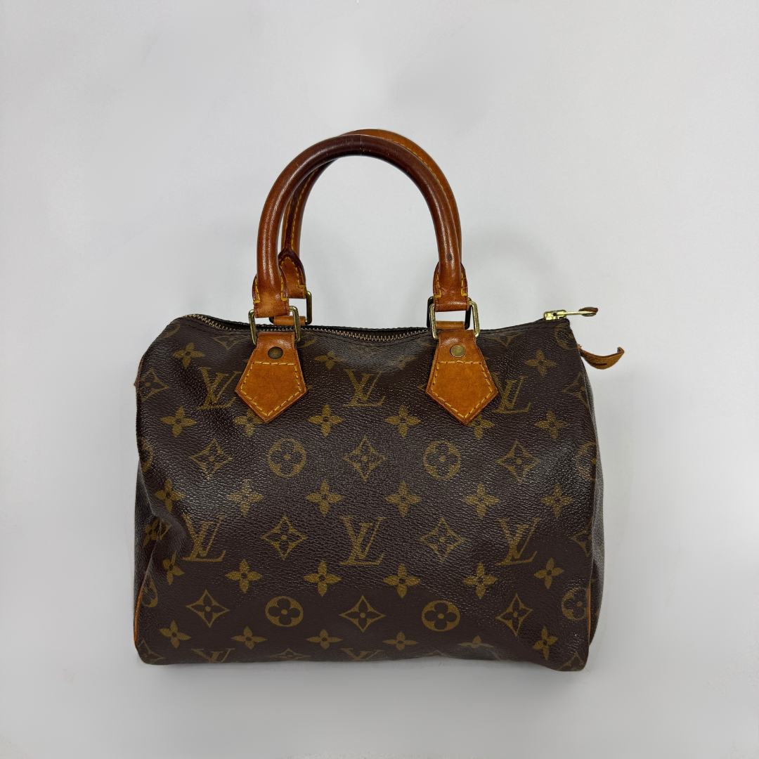 Louis Vuitton Speedy 25 on a white background