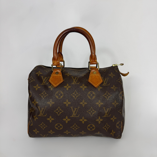 Louis Vuitton Speedy 25 on a white background
