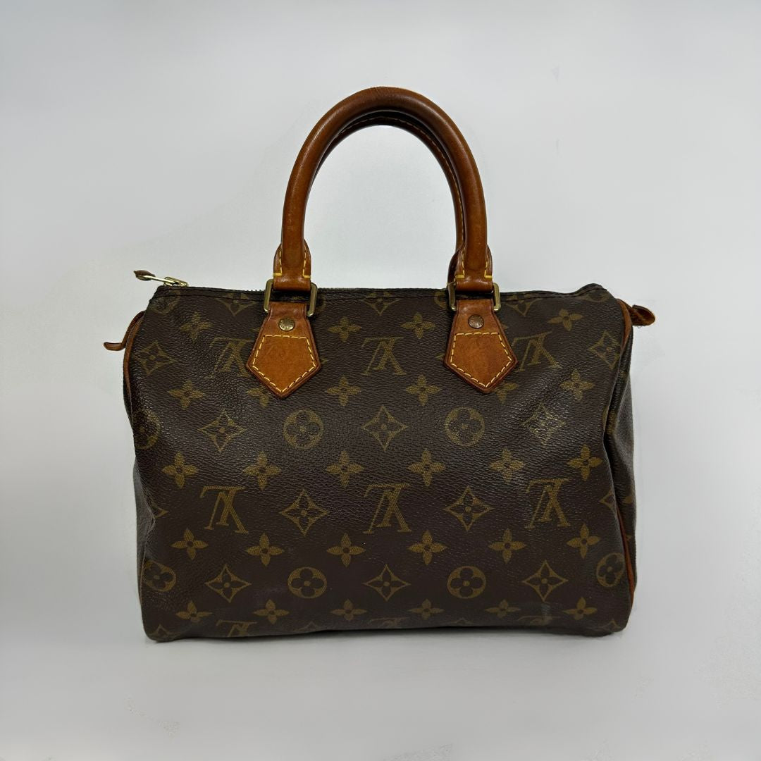 Louis Vuitton Speedy 25 on a white background