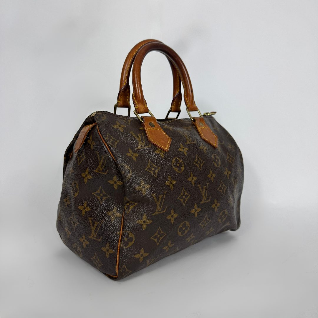 Louis Vuitton Speedy 25 on a white background