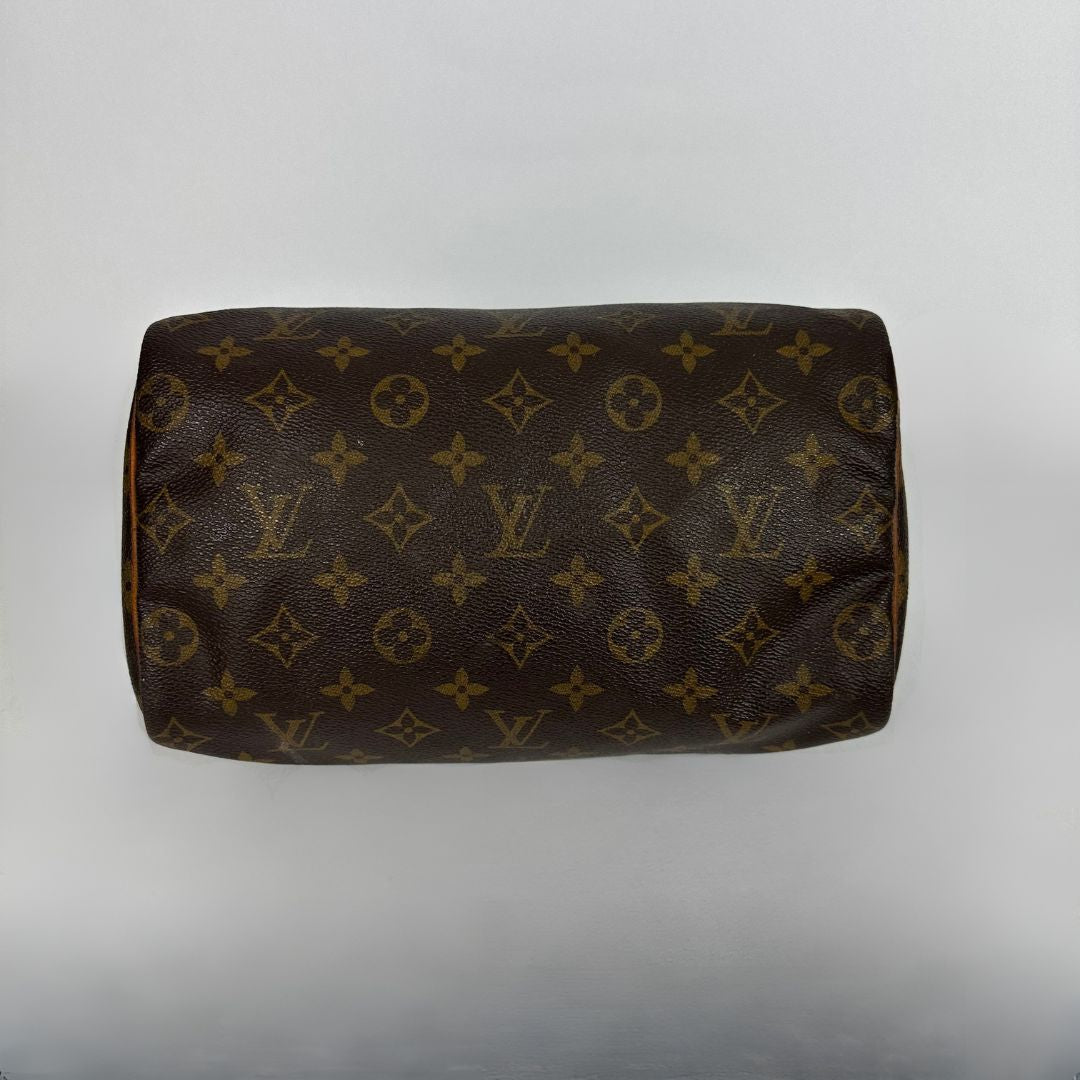 Louis Vuitton Speedy 25 on a white background