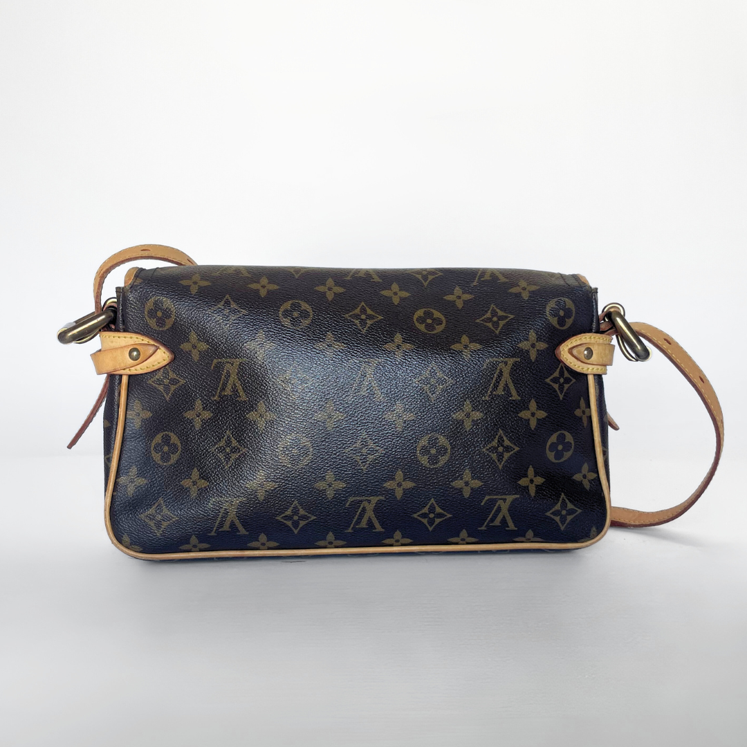 Louis Vuitton Hudson PM Monogram Canvas
