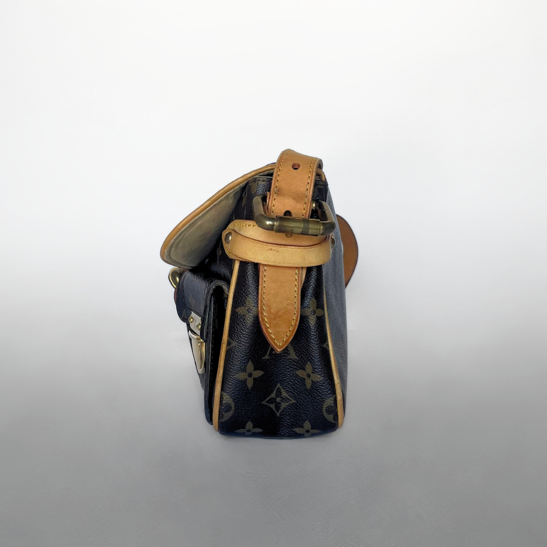 Louis Vuitton Hudson PM Monogram Canvas