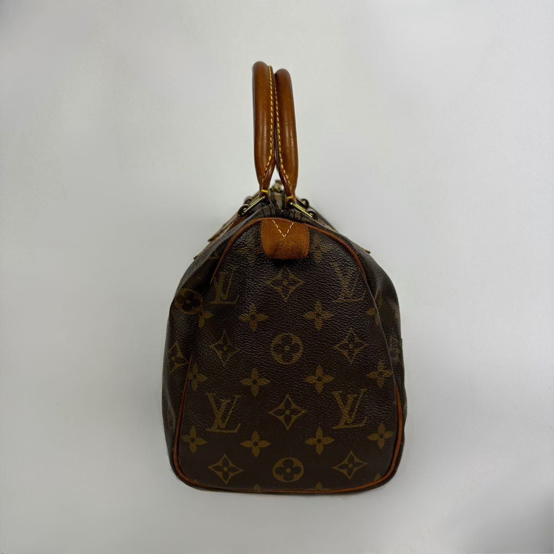 Louis Vuitton Speedy 25 on a white background