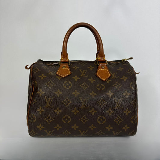 Louis Vuitton Speedy 25 on white background