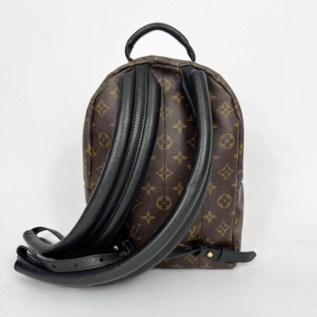 Louis Vuitton backpack with monogram pattern on a white background