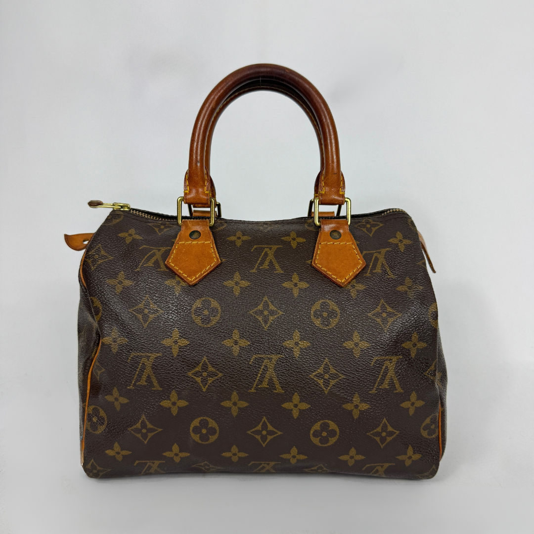 Louis Vuitton Speedy 25 on a white background