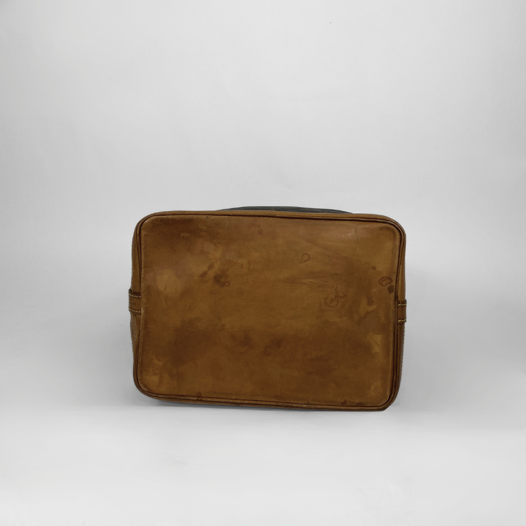 Louis Vuitton Noé Monogram Canvas on a white background