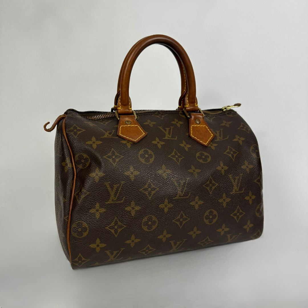 Louis Vuitton Speedy 25 on a white background