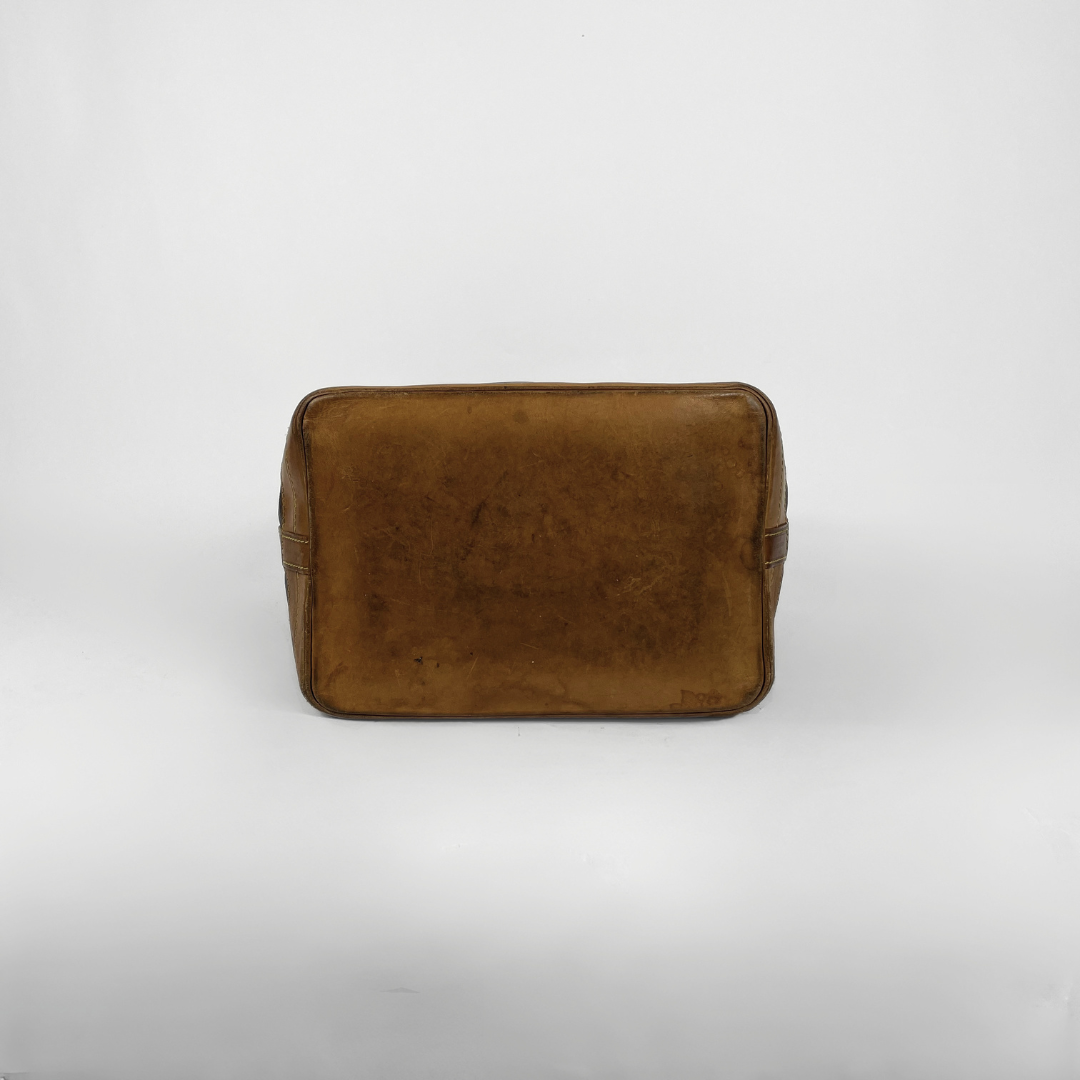 Louis Vuitton Noé Monogram Canvas on a white background